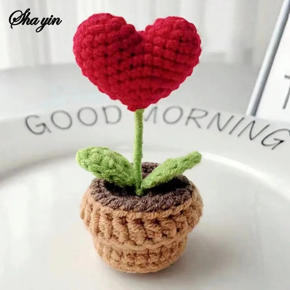 Hook Woven Finished Small Potted Plant