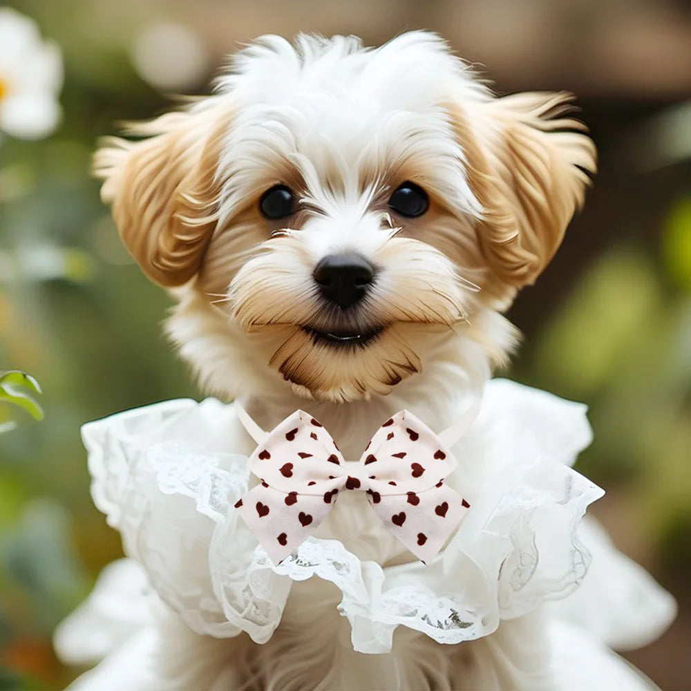 Cute Fashion Pet Bow Tie