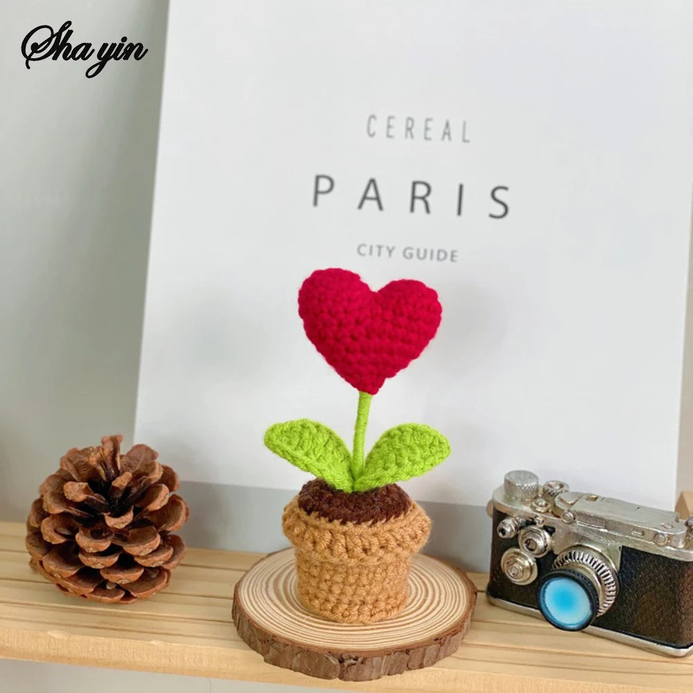 Hook Woven Finished Small Potted Plant