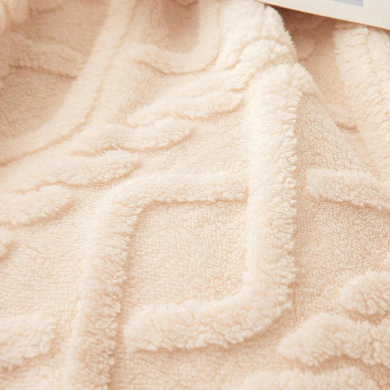 Layer Coral Fleece Blanket