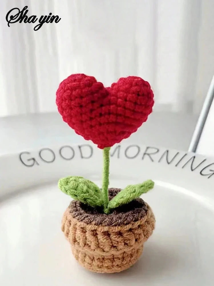 Hook Woven Finished Small Potted Plant