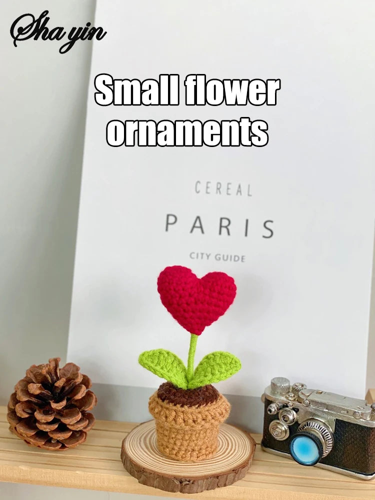 Hook Woven Finished Small Potted Plant