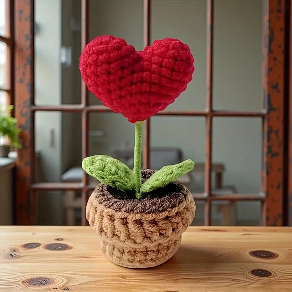 Hook Woven Finished Small Potted Plant