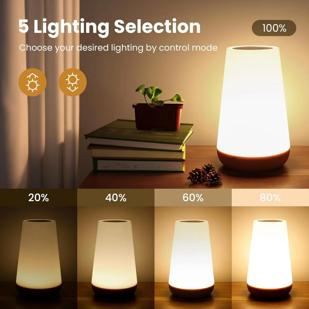 Dimmable Touch Lamp