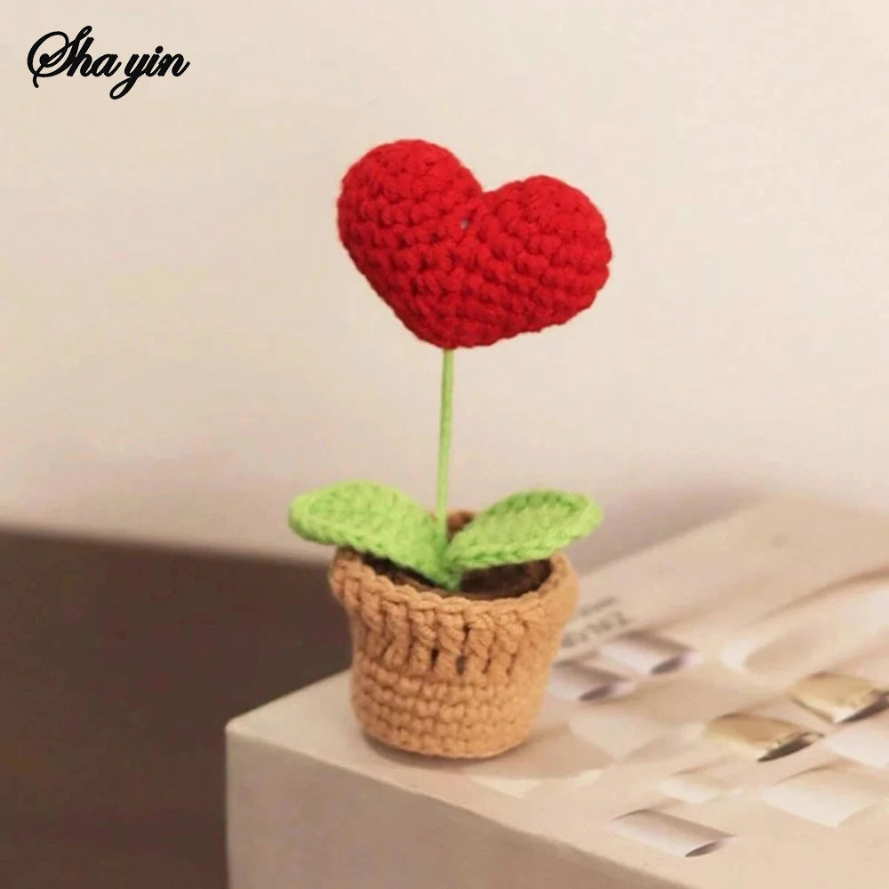 Hook Woven Finished Small Potted Plant