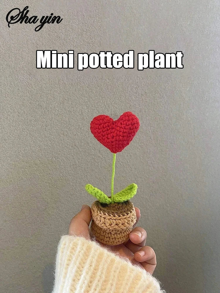 Hook Woven Finished Small Potted Plant