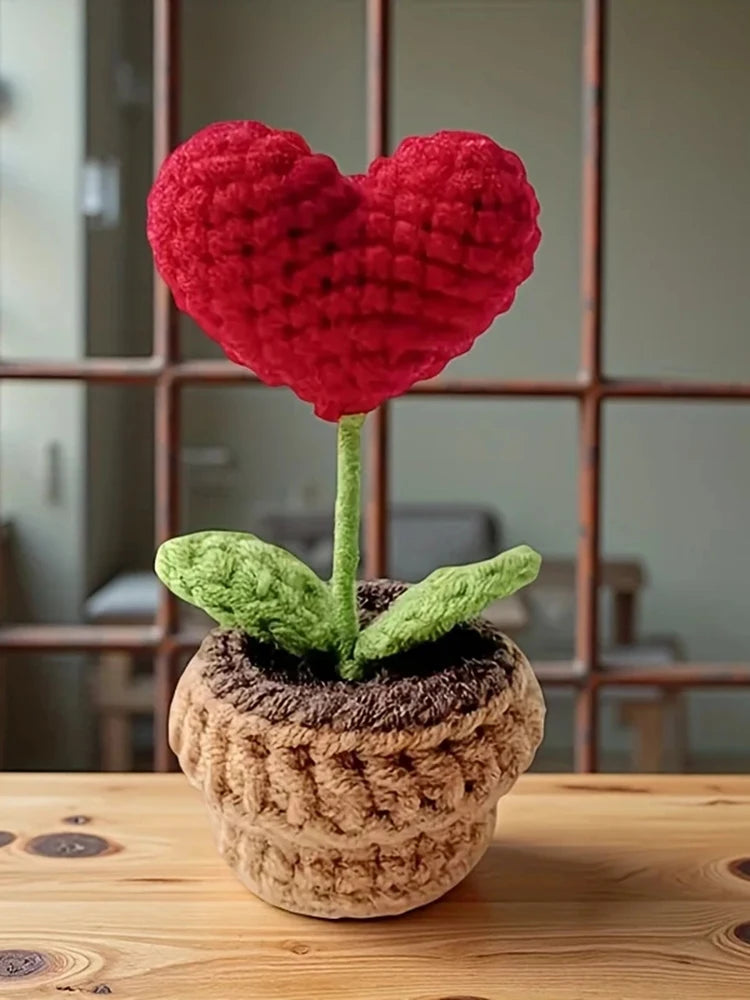 Hook Woven Finished Small Potted Plant