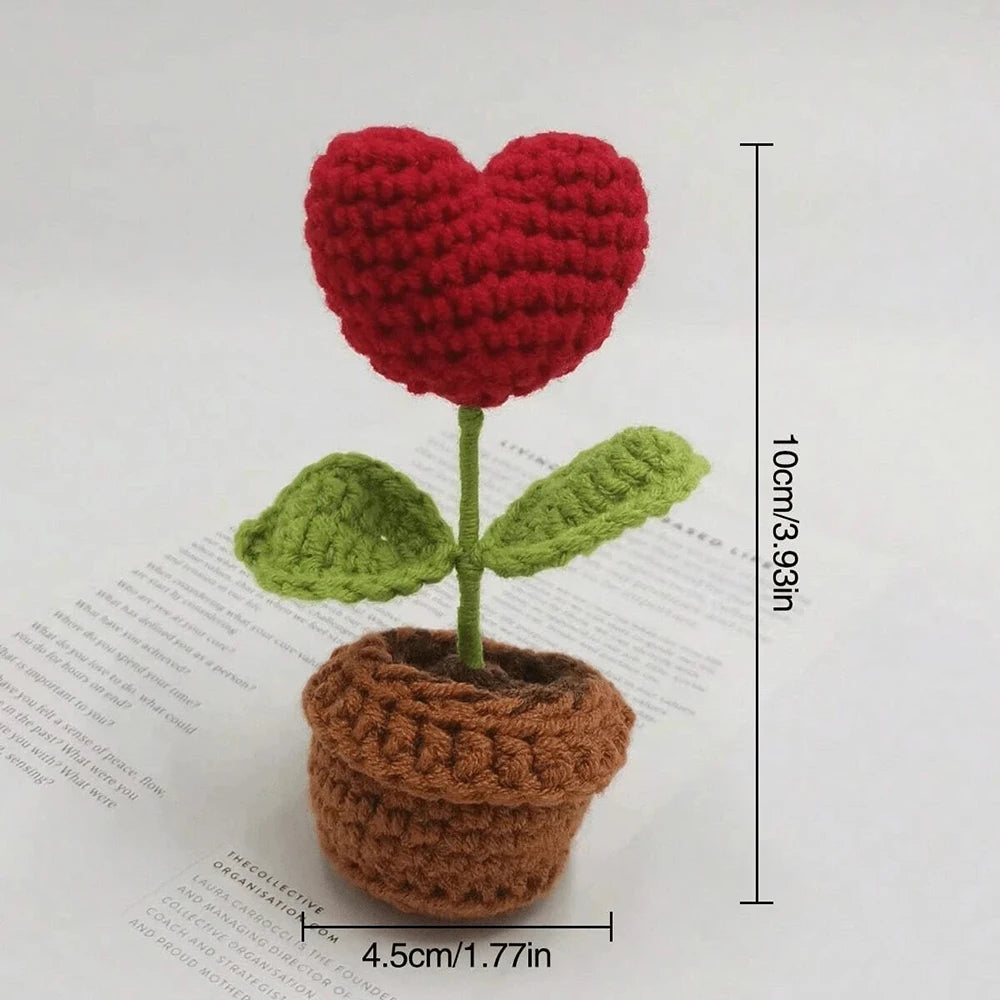 Hook Woven Finished Small Potted Plant
