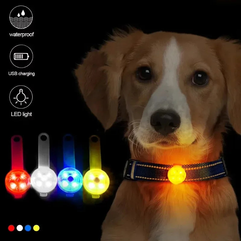 Pet collar weatherproof LED safety light