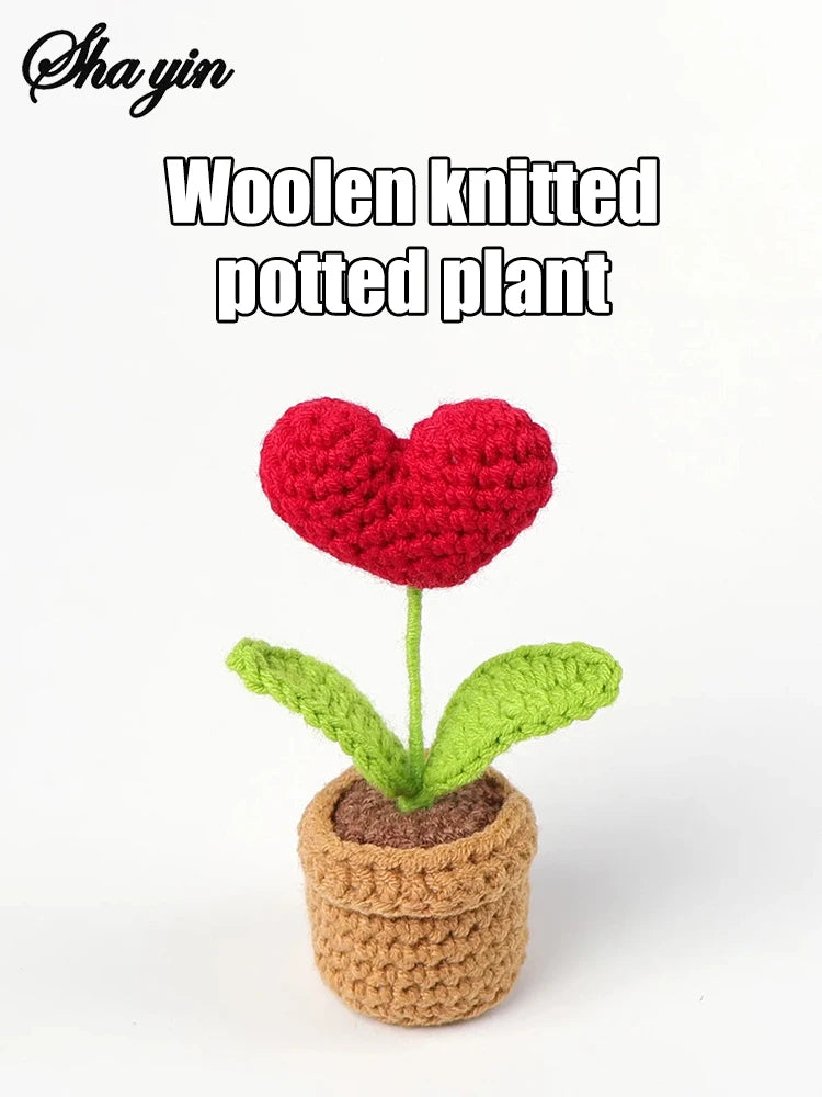 Hook Woven Finished Small Potted Plant
