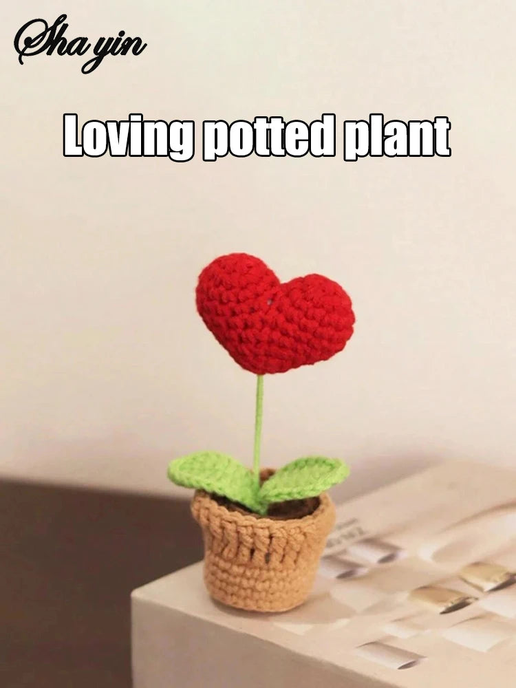 Hook Woven Finished Small Potted Plant